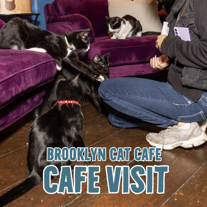 1742927566142_EN7KEPRRTJJ97L9EMP3RCRX4Y9NHTE9Y_884_880 1742927566142_EN7KEPRRTJJ97L9EMP3RCRX4Y9NHTE9Y_884_880