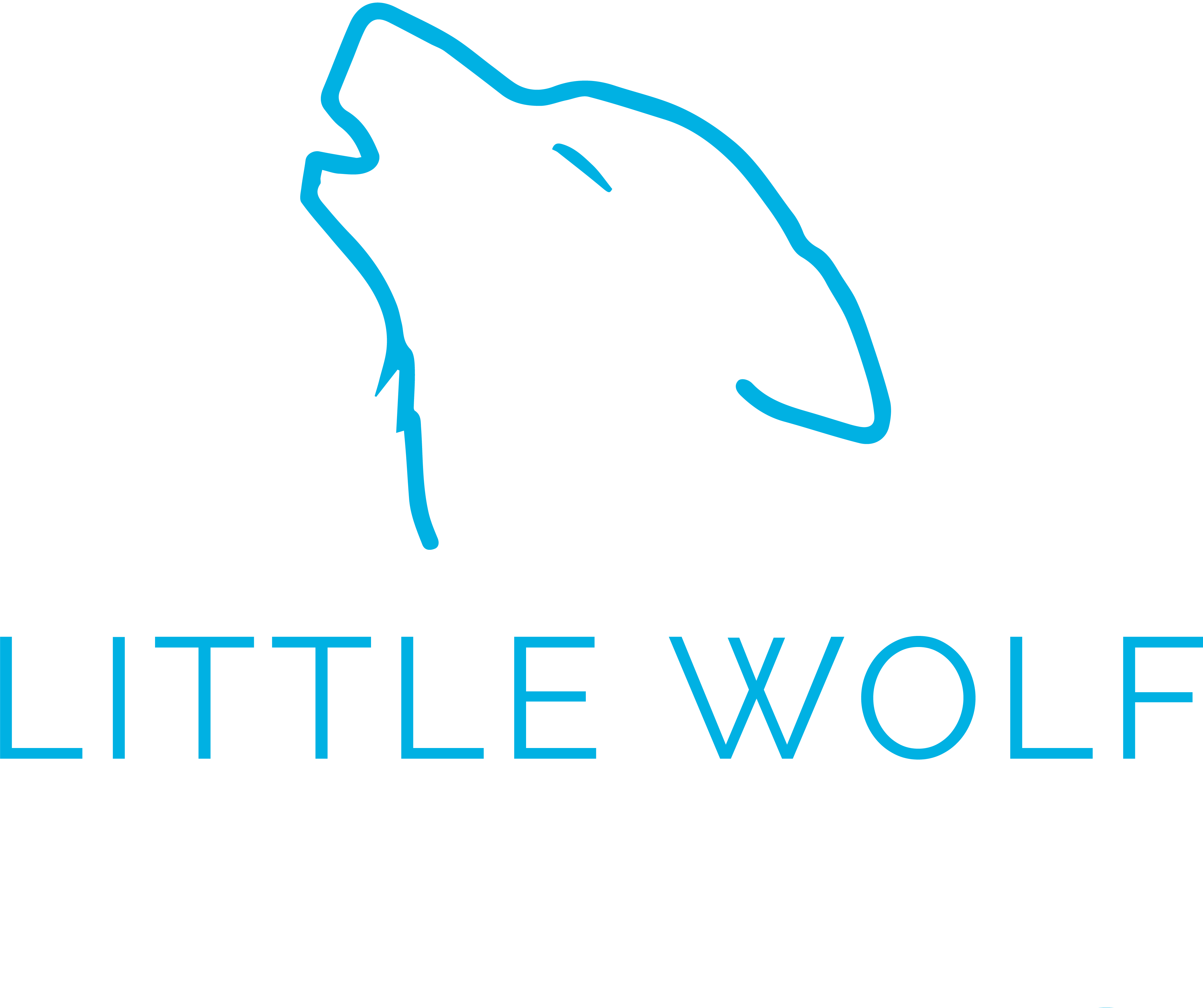 Little Wolf Ceramics Image